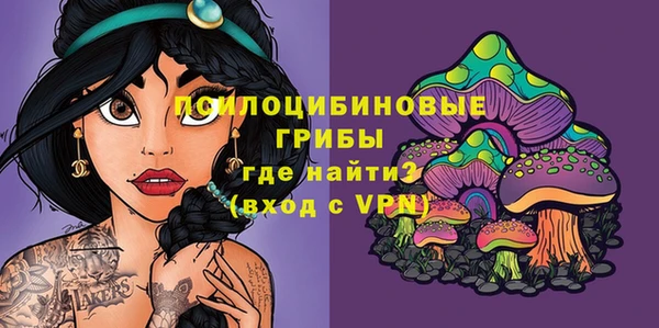 экстази Покачи