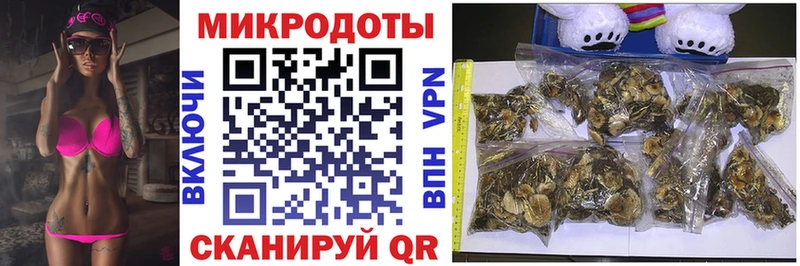 блэк спрут как войти Струнино Галлюциногенные грибы Psilocybe
